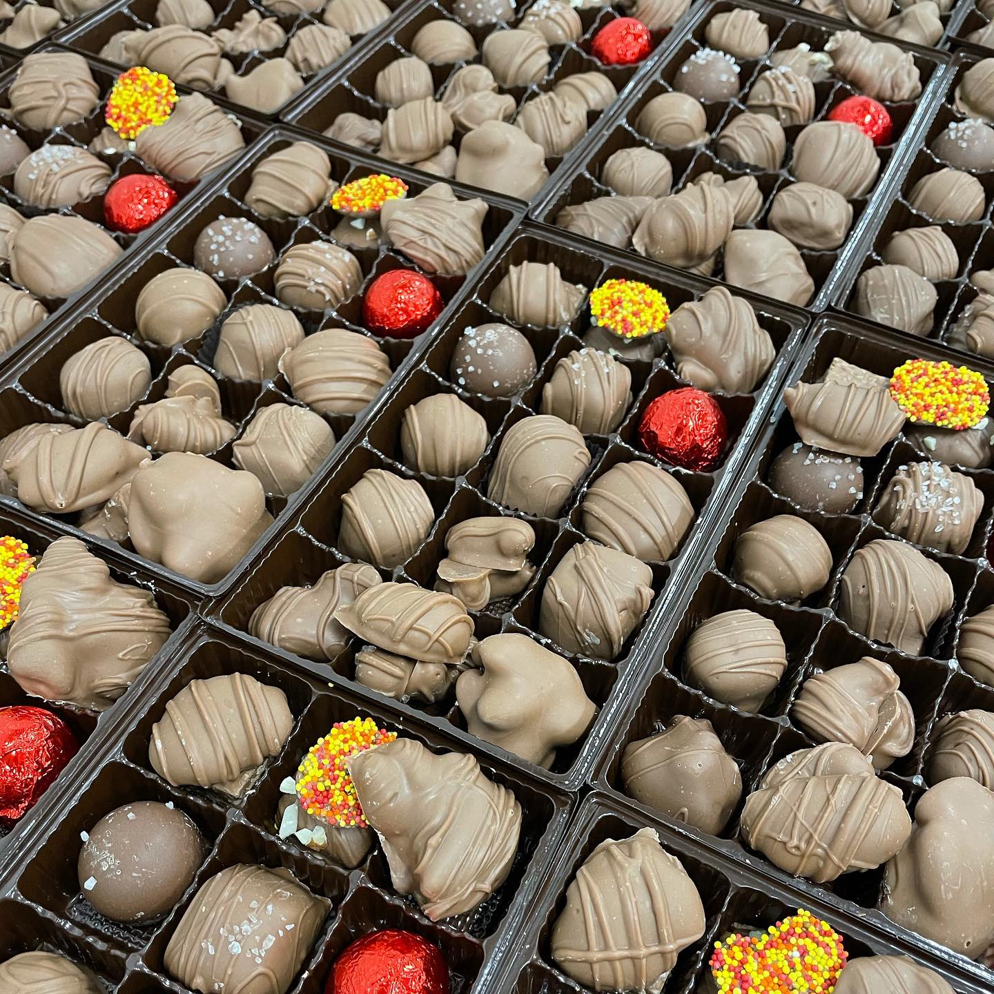 Gourmet Chocolates